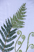 Embroidered ferns