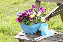 Violas and pansies planted in blue bundt cake tin