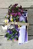 View down onto basket of violas, scissors and gift wrap