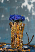 Unusual free-standing bouquet of cornflowers surrounded by lichen-covered twigs