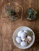 Easter eggs and cacti on wooden table
