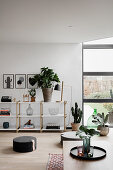 Houseplants and floor cushions in simple, modern living room