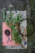 Dappled willow (Salix integra ‘Hakuro Nishiki) cut for making wreath