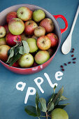 Apples in red saucepan on blue surface with paper lettering