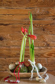 Rote Amaryllis in Mooskugeln in einem Holztrog mit Christbaumkugeln