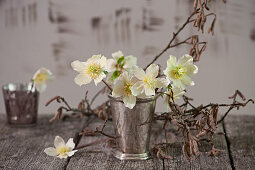 Kleiner Strauß aus Blüten der Christrose in Silberbecher, Haselzweige