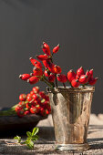 Dog-rose rosehip in a silver tumbler