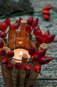 Lantern with rose hips and woods