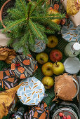 Preserving jars, small fir tree and apples