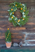Christmas wreath and potted miniature conifer decorated with shapes cut out of orange peel