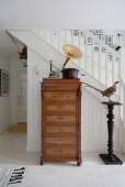 A gramophone on an antique chest of drawers and a stuffed pheasant on a stela in front of a flight of stairs