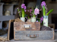 Vases of hyacinths, waxflowers and broom in drawer with balls of twine
