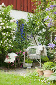Wicker armchair next to roses and delphiniums