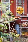 A work table for making autumn wreaths, a door wreath made of maple leaves and a basket of apples