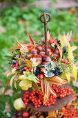 Chestnuts in a colorful autumn wreath of autumn leaves and berries