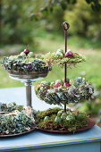 Autumn wreaths made of moss and hydrangea blossoms, Brussels sprouts and onions as decorations