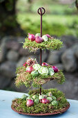 A stand with moss, Brussels sprouts and red onions
