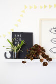 Foliage plants and pictures on floating shelf