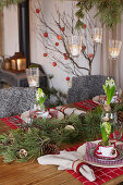 Christmas table decorated with fir branches and hyacinths