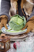 Hands with gloves holding a plate with a savoy cabbage