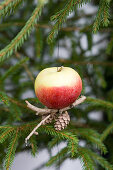 Apple hanging from Christmas tree