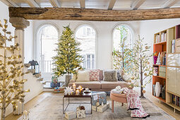 Bright living room with fir tree in front of arched window