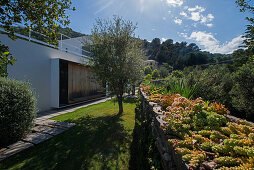 View from garden to modern villa