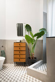 Kommode und Grünpflanze neben Duschbereich im Badezimmer
