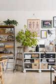 Picture gallery above shelf with tidy storage boxes and indoor plant