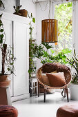 Hängeleuchte überm runden Sessel im Wohnzimmer mit Pflanzen