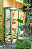 Green greenhouse cabinet against yellow wooden façade in garden