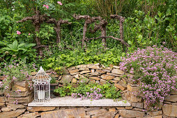 Trockensteinmauer mit Sitzplatz in eingewachsenem Garten