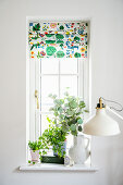 Houseplant and eucalyptus branches in vase on windowsill