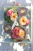 Spray roses 'Augusta Luise' and 'Eden Rose' in small bowls