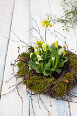 Wreath of moss and twigs with cowslips in the middle