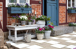 Summer flowers in flea market pots on and around a wooden bench on the terrace