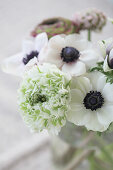 Green ranunculus and white anemones