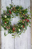 Wreath made of mistletoe, Christmas roses, pernettya and ever greens