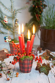 Red candles with moss and holly berries in a mug with a check pattern