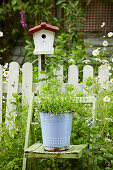 Planted bucket on garden chair in front of fence with bird house