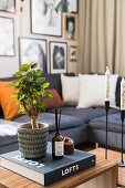 Little tree and book on a coffee table, sectional sofa, and photo gallery in the background