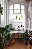 Desk surrounded by house plants and large old windows