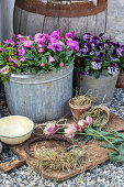 Arrangement aus Stiefmütterchen und Hornveilchen und Zubehör für Tulpenkranz