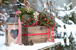 Holzkiste mit winterlicher Gartendekoration und einer Laterne