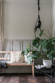 Sitzbank aus Holz und Zimmerpflanze vor grau gestrichenem Wandpaneel