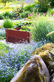 Moss-covered stones, spring flowers, and raised bed in the garden