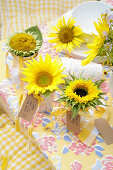 Sunflower in a paper cup as a gift for guests
