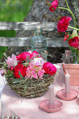 Korb mit Frühlingsblüten in Rot und Rosa und Kerzen auf Gartentisch