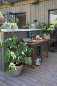 Terrasse mit Holzmöbeln und Pflanzen