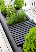 Black raised bed with herbs and flowers on a patio